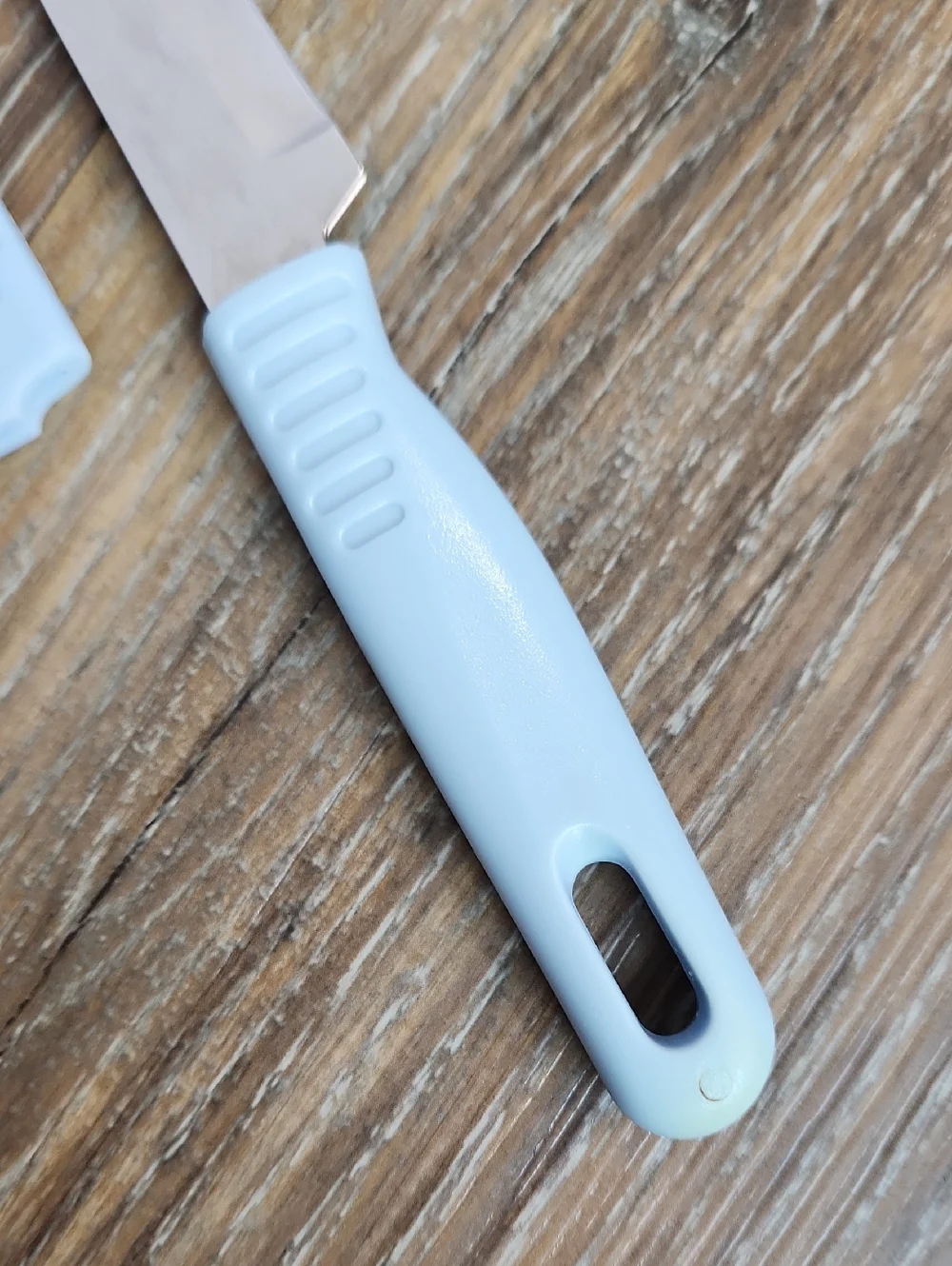 Stainless Steel Knife Blue Plastic Handle & Sheath